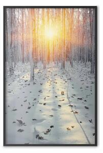 Poster: Pomeriggio invernale - bosco in atmosfera invernale al tramonto