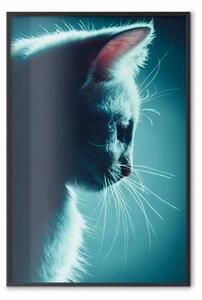 Poster: Vagabondo notturno - ritratto di gatto in illuminazione notturna