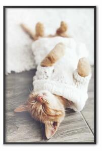 Poster: Gatto pigro - animale marrone in maglione bianco su pavimento di legno