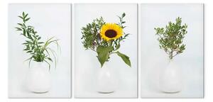 Quadro su tela Girasoli ed erbe (3 pezzi)
