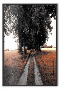 Poster: Strada per il bosco - paesaggio di strada e alberi