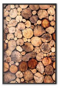 Poster: Interno dell'albero - texture del legno di cedro in diverse dimensioni