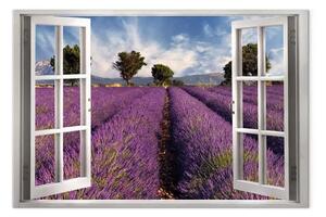 Quadro Campo di lavanda largo