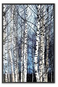 Poster: Gennaio gelido - paesaggio invernale di alberi su cielo