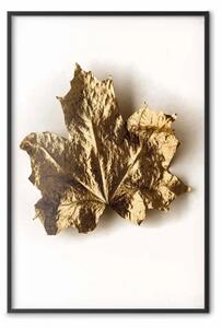 Poster: Acero dorato - foglia con strato d'oro su bianco