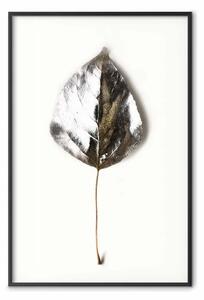 Poster: Gioiello d'inverno - foglia di pianta argentata su sfondo bianco