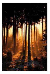 Quadro su tela Foresta di miele verticale