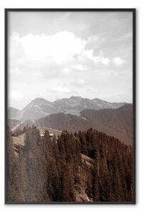 Poster: Paesaggio - panorama della valle con bosco sullo sfondo