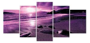 Quadro su tela Oceano incantato (5 pezzi) largo viola