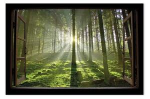 Quadro Alba nella foresta largo