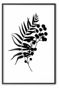 Poster: Forma della natura - pianta nera con foglie bianche
