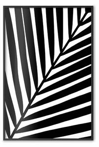 Poster: Foglia preziosa - motivo di foglia nera su bianco