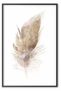 Poster: Effimero (beige) - piuma vellutata in un solo colore su sfondo bianco
