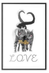 Poster: Amore soffice - gatti grigi e scritte in inglese su sfondo bianco