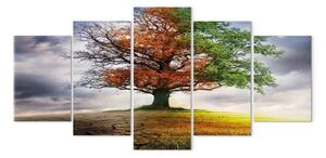 Quadro Albero eterno (5 pezzi) largo