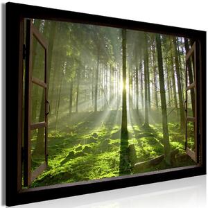 Alba nella foresta - vista dalla finestra su paesaggio forestale con sole tra gli alberi