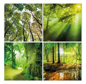 Quadro moderno Una passeggiata nel bosco (4 pezzi)