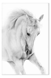 Quadro contemporaneo Cavallo bianco verticale