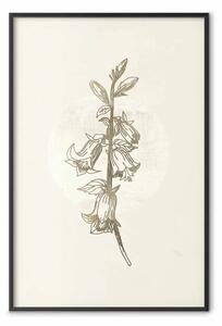 Poster: Motivo campestre - pianta con fiori su beige retro