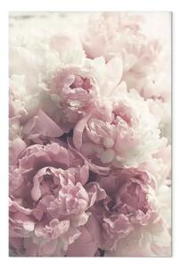 Quadro moderno Delicate peonie verticale