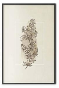 Poster: Schizzo campestre - pianta con fiori su beige retro