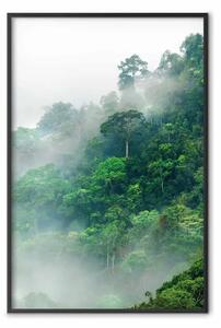 Poster: Foresta lussureggiante