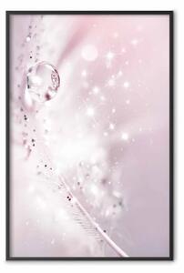 Poster: Piuma luminosa - piuma con goccia d'acqua in un bagliore astratto rosa