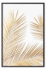 Poster: Palme d'oro - foglie tropicali dorate su sfondo bianco contrastante
