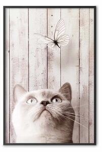 Poster: Natura felina - gatto grigio e farfalla su legno