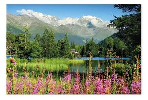 Quadro su tela Primavera nelle Alpi largo