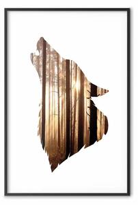 Poster: Canto bosco - paesaggio boschivo con viso lupo