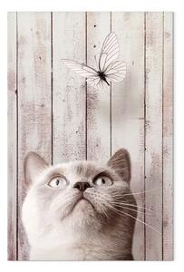 Quadro contemporaneo Natura di gatto verticale
