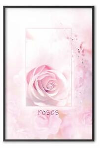 Poster: Mondo rosa - fiore rosa naturale con scritte in inglese