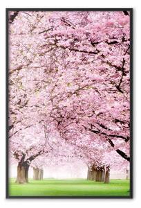 Poster: Giardino di ciliegi - paesaggio di erba verde e alberi con foglie rosa