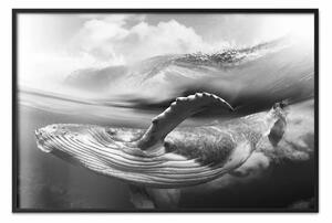 Poster: Balena bianco e nero - paesaggio marino con balena su sfondo d'onda