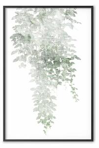 Poster: Cascata verde - pianta con foglie su texture leggermente sfocata