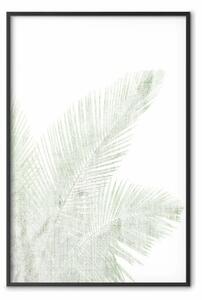 Poster: Verde velluto - foglia di palma verde su sfondo bianco contrastante