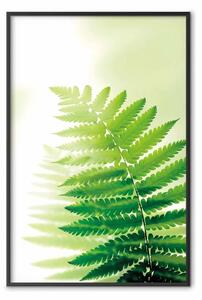 Poster: Felce - pianta naturale con foglie di felce su sfondo verde luminoso