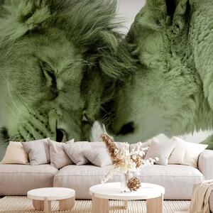 Carta da parati L'amore dei leoni - una foto di due animali abbracciati l'un l'altro