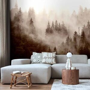 Carta da parati Foresta montana nebbiosa sepia - paesaggio con toni seppia e vista maestosa