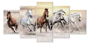 Quadro contemporaneo Cavalli soriani (5 pezzi) largo