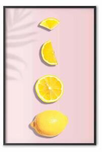 Poster: Pezzetto di esotico - limone in diverse sezioni su sfondo pastello