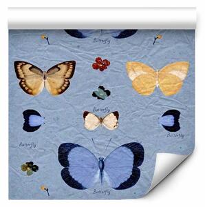 Tappezzerie Farfalle di carta