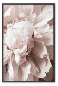 Poster: Delicatezza ritmica - fiori rosa chiaro in una composizione naturale