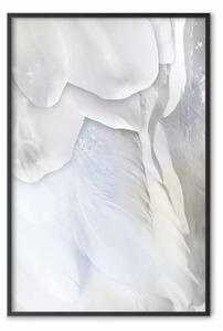 Poster: Provvidenza - astratta composizione con piume bianche e fiori