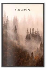 Poster: Continua a crescere - scritte inglese e paesaggio alberi nebbia