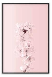 Poster: In fiore - composizione rosa di piante con fiori su sfondo uniforme