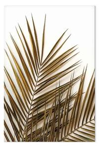Quadro Foglie di palma secca - foto con un motivo vegetale