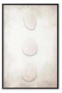 Poster: Ricchezza dell'oceano - paesaggio conchiglie bianche su sabbia