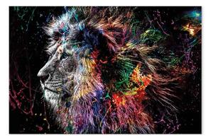 Quadro moderno Leone pazzo in largozza